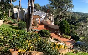 Villa Tara